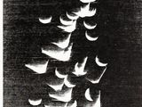 a black and white photo of a flock of birds flying in the sky