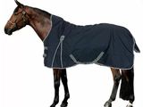 a horse that is wearing a blanket on it ' s back