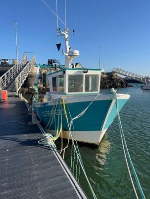 a blue and white boat docked at a dock
