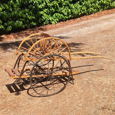 Carriole à chien vintage en bois - Objet d'art & curiosités