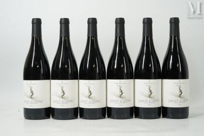 six bouteilles de vin sont alignées sur une surface blanche
