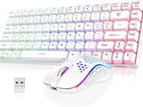 un clavier d'ordinateur et une souris placés l'un à côté de l'autre