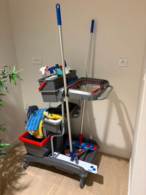 a mop, buckets, and other cleaning supplies on a cart