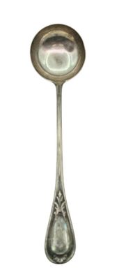 a silver spoon with a spoon handle on a white background