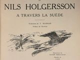 an old book with a picture of a bird flying over it