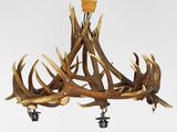an image of a chandelier with antlers hanging from it ' s ceiling