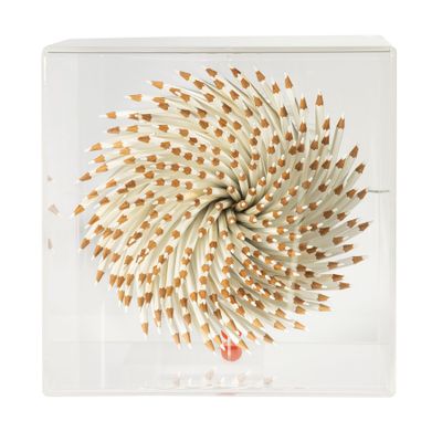 une photo d'une sculpture composée de crayons, placée dans une boîte transparente
