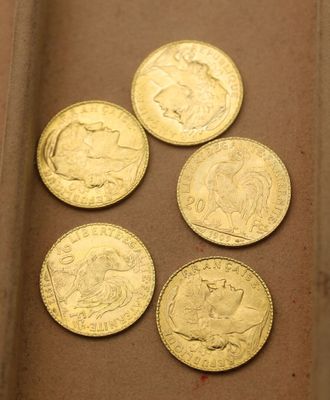 six types différents de pièces d'or dans une boîte posée sur une table