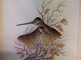 a picture of two birds that are sitting on a branch
