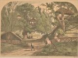 une photo d'un tableau représentant un homme et une femme dans les bois