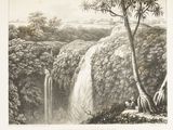 un dessin représentant une cascade au milieu d'une forêt