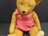 a teddy bear that is wearing a pink dress