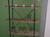 une exposition de skateboards sur un mur vert dans une pièce