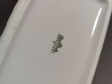an image of a white plate with a flower design on it