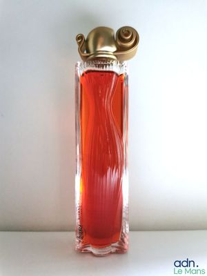Givenchy Organza eau de parfum 50 ml - neuf - marqué démonst…