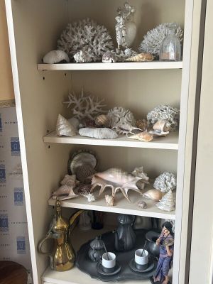 a cabinet that has a lot of shells on top of it