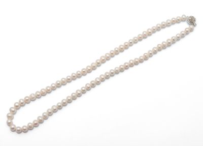 un collier à un rang de perles blanches avec un fermoir en argent