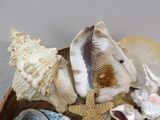 a wooden bowl with shells and starfishs in it
