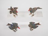three small birds are sitting on a clear shelf with a white background