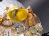 a shell filled with shells and a lemon on a plate