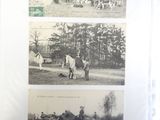 several black and white photos of horses and people in a field