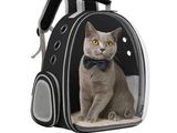 a cat that is sitting inside of a backpack