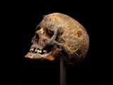 a close up of a skull on a stand against a black background