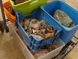 un chariot rempli de différentes sortes de poissons posé par terre