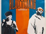 the album cover for black swan ' s album, featuring two men in front of an orange and blue background