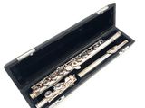 a flute in a black case on a white background