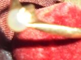 une bague en or renfermant une perle, posée sur un morceau de tissu