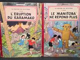 Il s'agit de deux livres pour enfants illustrés représentant un ours et une petite fille.