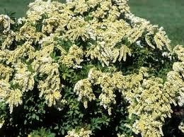 Destockage & Invendus