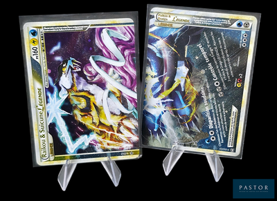Deux cartes Pokémon sont représentées côte à côte sur un fond noir.