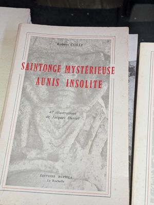 Voici deux livres posés sur une table