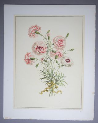 tableau représentant un bouquet d'œillets roses dans un cadre blanc