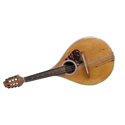 an image of a mandolin guitar on a white background