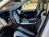 the interior of a car is clean and ready to be used