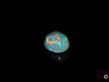 a close up of a white oplite in the dark
