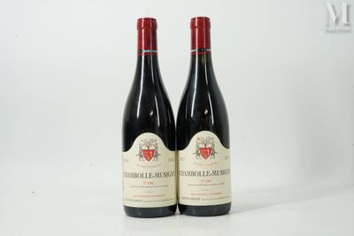 deux bouteilles de vin rouge posées l'une à côté de l'autre sur une surface blanche