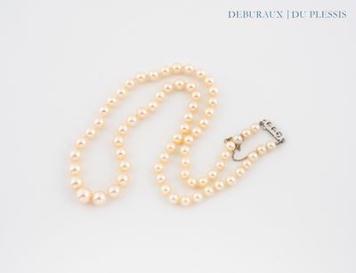 un gros plan d'un collier de perles muni d'un fermoir, sur fond blanc