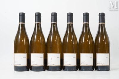 six bouteilles de vin sont alignées sur une surface blanche