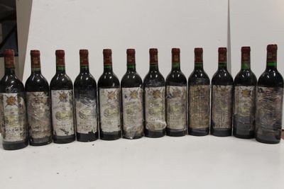 many bottles of wine lined up on a table