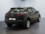 the rear of a black citrole parked in a showroom