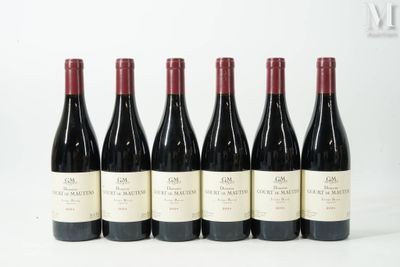 six bouteilles de vin sont alignées sur une surface blanche