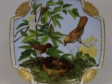 une assiette sur laquelle sont représentés un oiseau et un nid
