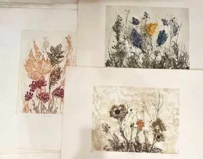four prints of wildflowers on the wall of a room