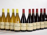 six bouteilles de vin alignées sur une surface blanche