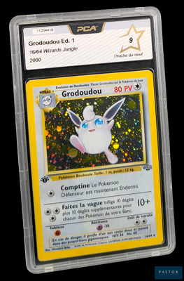 La carte Pokémon se trouve dans un étui en plastique transparent sur fond noir.