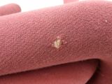 a close up of a piece of cloth with a small flower on it